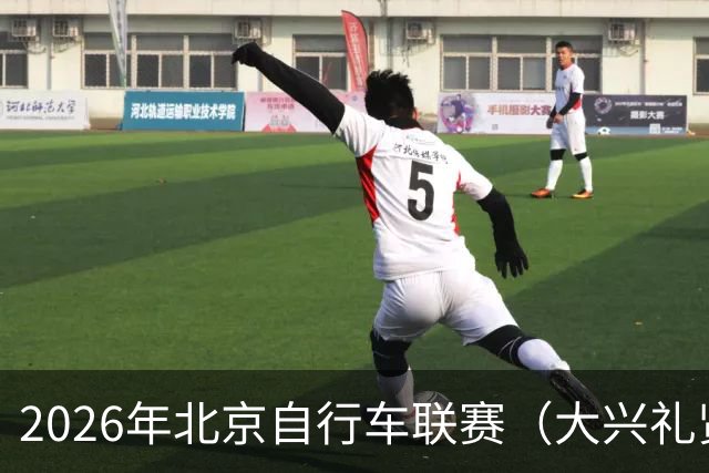 2026年北京自行车联赛（大兴礼贤赛段）暨礼贤镇第二届自行车赛圆满落幕-国际在线